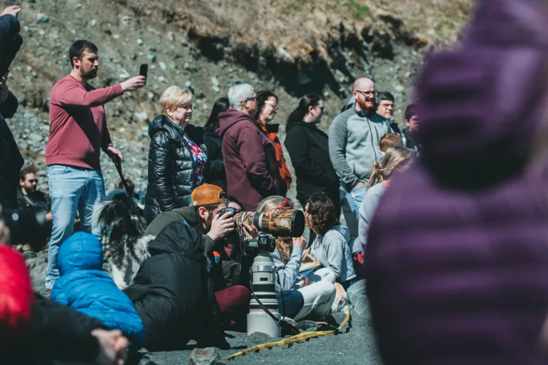Niche Is Not a Dirty Word: Why the Smallest Audiences Are Building the Biggest Empires